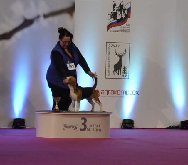 Milo bei der IHA Nitra 2018 Milo bei der IHA Nitra 2018