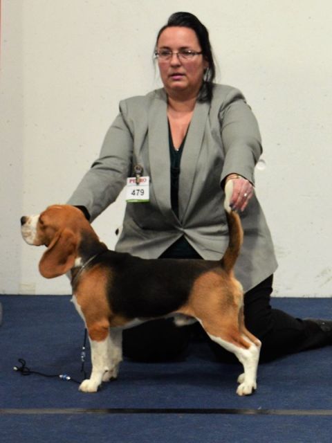 Milo bei der IHA Graz 2018 Milo bei der IHA Graz 2018