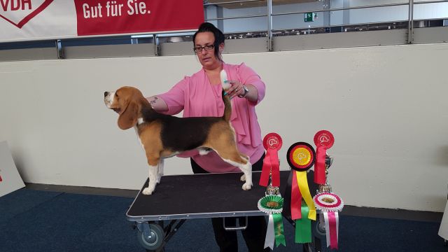 Milo bei der IHA Hannover 2018 Milo bei der IHA Hannover 2018