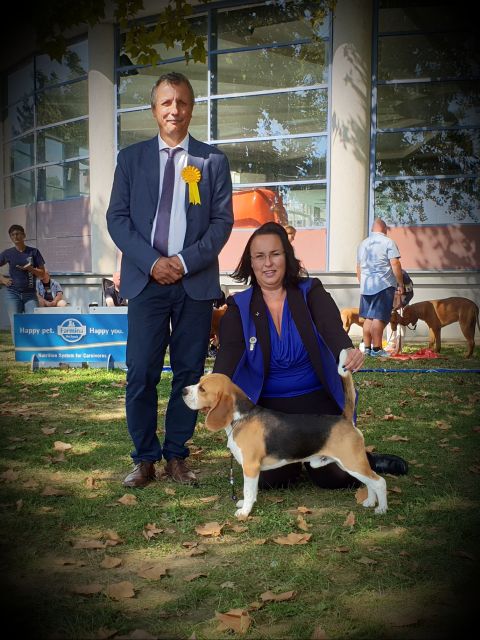 Milo bei der IHA Lendava I+II 2018 Milo bei der IHA Lendava I+II 2018