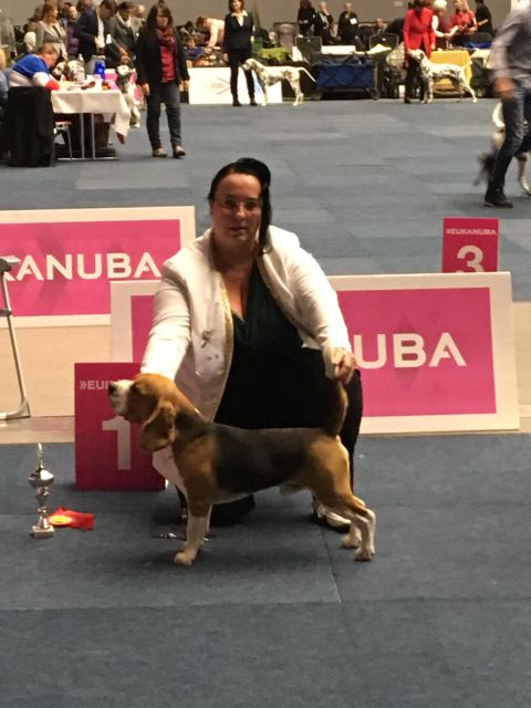 Milo bei der IHA Dortmund 2018 Milo bei der IHA Dortmund 2018
