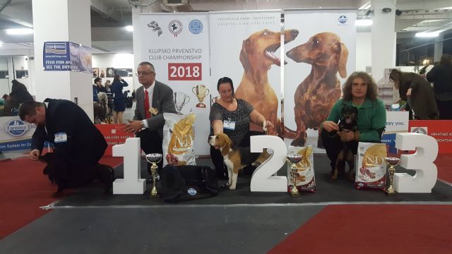 Milo bei der IHA Zagreb 2018 Milo bei der IHA Zagreb 2018
