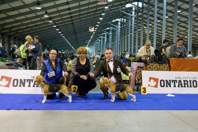Milo bei der IHA Prag 2018 Milo bei der IHA Prag 2018