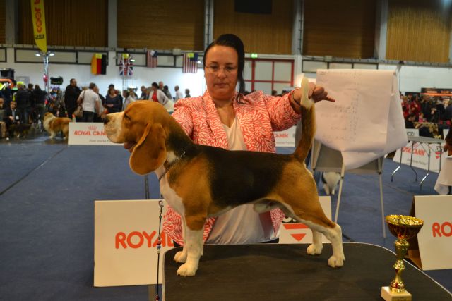 Milo bei der IHA Wels 2018 Milo bei der IHA Wels 2018