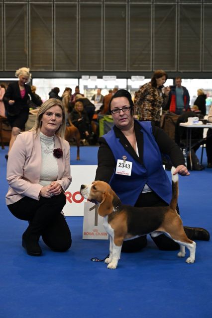 Milo bei der IHA Brünn 2019 Milo bei der IHA Brünn 2019