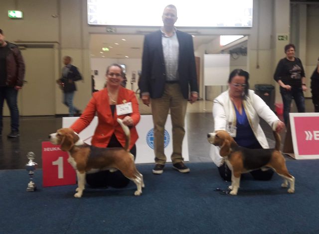 Milo bei der IHA Dortmund 2019 Milo bei der IHA Dortmund 2019