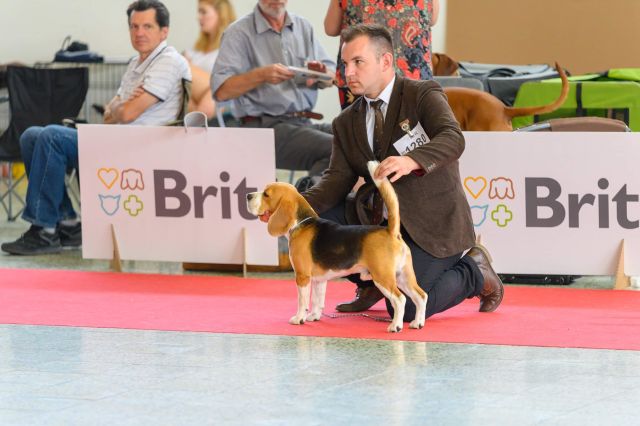 Milo bei der IHA Nitra 2019 Milo bei der IHA Nitra 2019