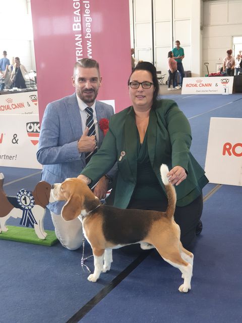 Milo bei der IHA Tulln 2019 Milo bei der IHA Tulln 2019