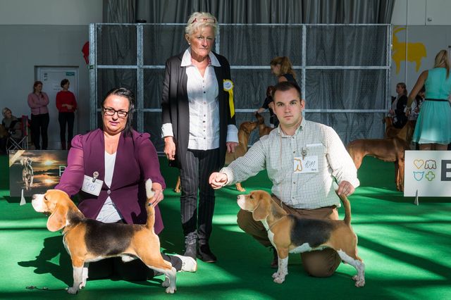 Milo bei der IHA Budweis 2019 Milo bei der IHA Budweis 2019