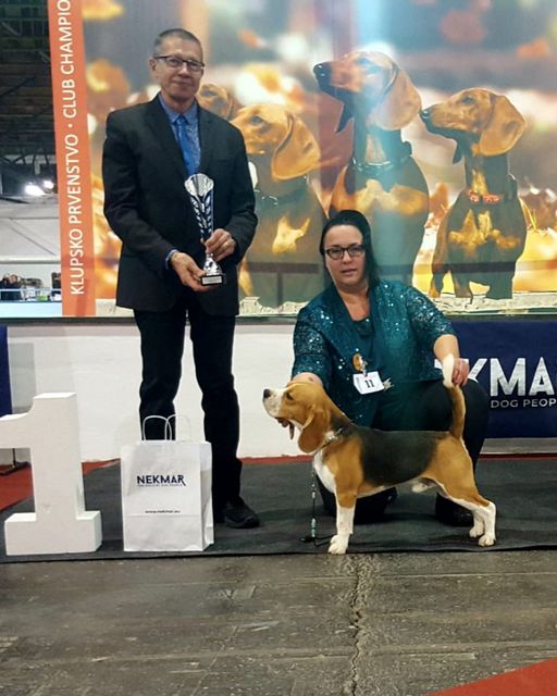 Milo bei der IHA Zagreb 2019 Milo bei der IHA Zagreb 2019