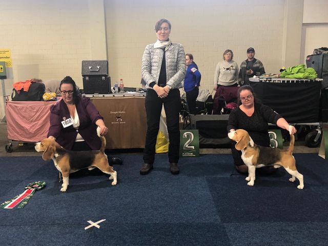 Milo bei der IHA & NHA Kassel 2019 Milo bei der IHA & NHA Kassel 2019
