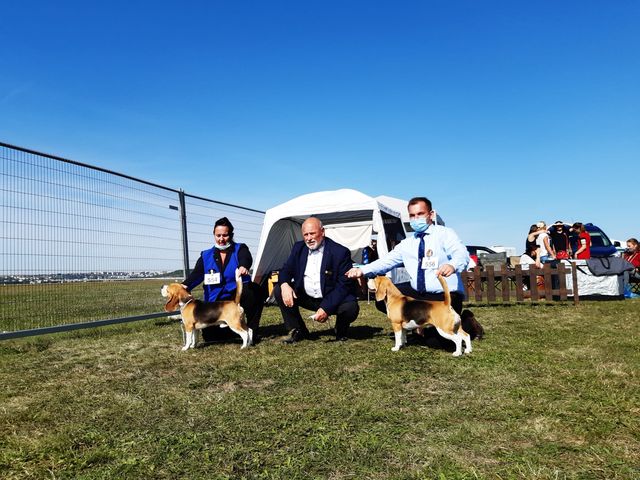 Milo bei der IHA Nitra 2020 Milo bei der IHA Nitra 2020