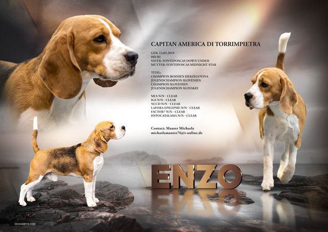 Setkarte Enzo