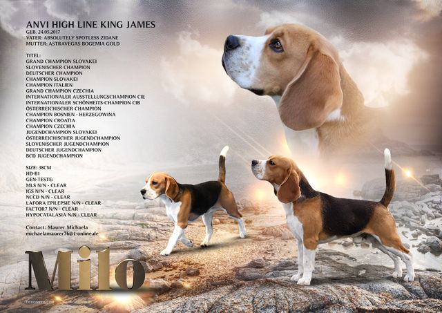 Setkarte Milo