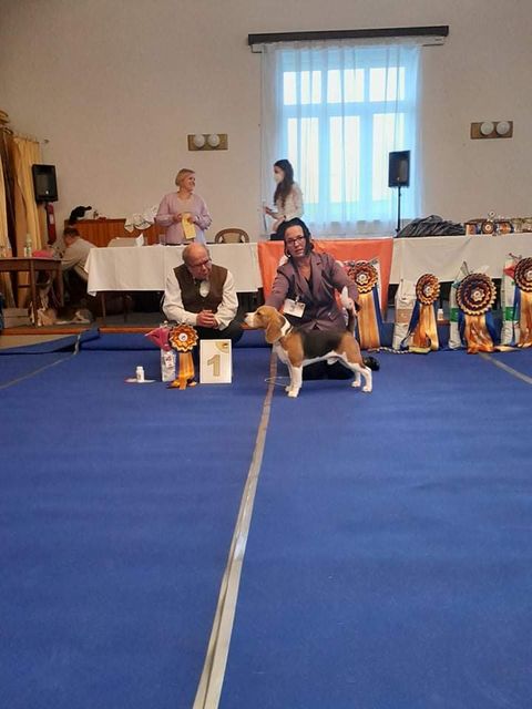 Grisu bei der NHA Prag 2022