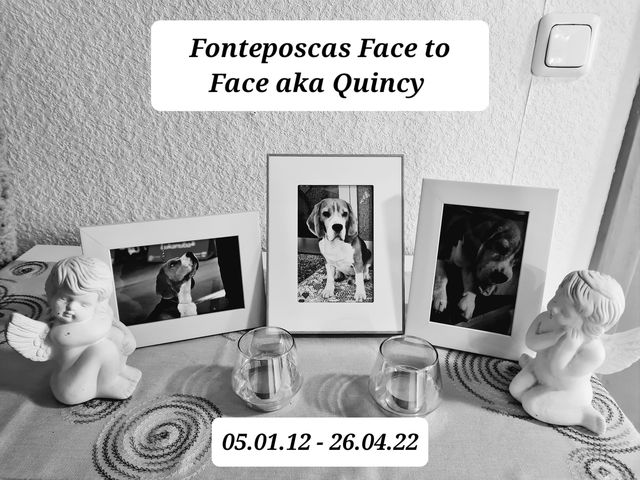 2022-04-29-quincy_01