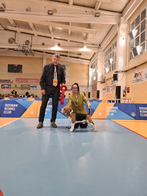 Grisu bei der IHA Velika Kladusa 2022