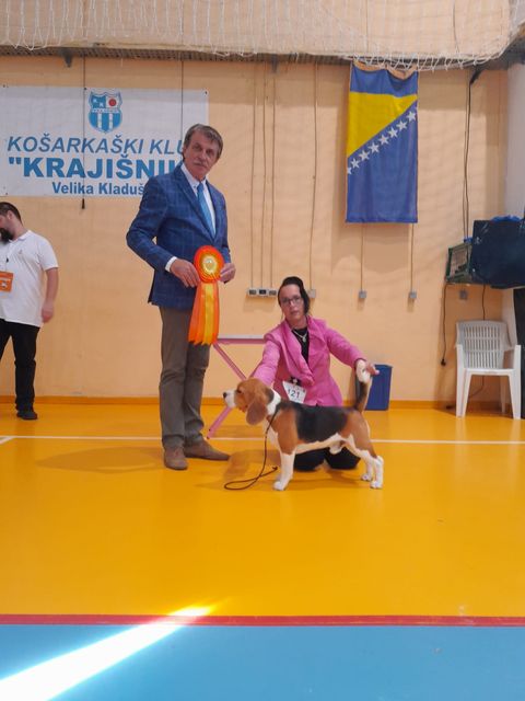 Grisu bei der IHA Velika Kladusa 2022
