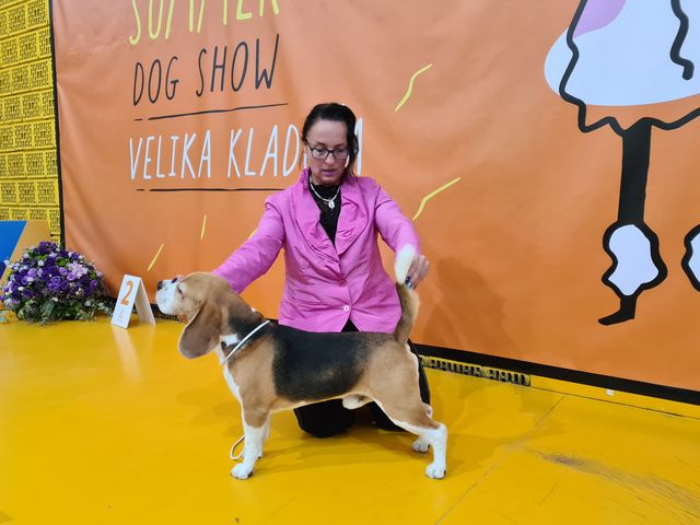 Milo bei der IHA Velika Kladusa 2022