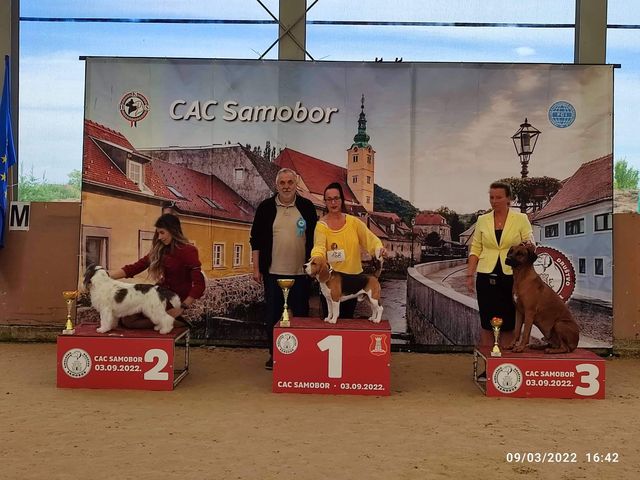 Grisu bei der NHA Samobor-Velika Gorica 2022