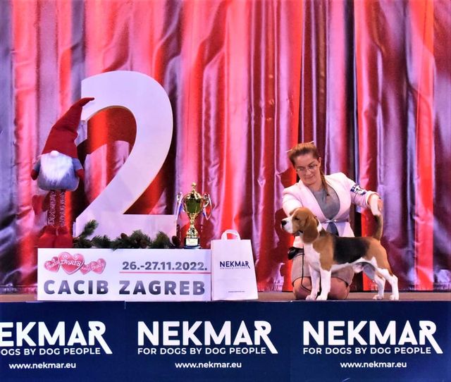 Grisu bei der IHA Zagreb 2022