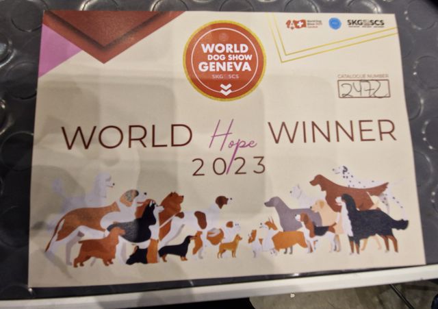 Banner der World Dog Show in Genf Banner der World Dog Show in Genf