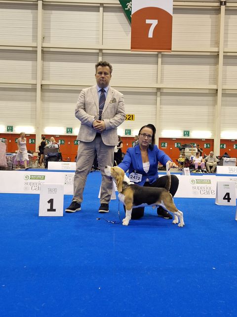 World Dog Show in Genf World Dog Show in Genf