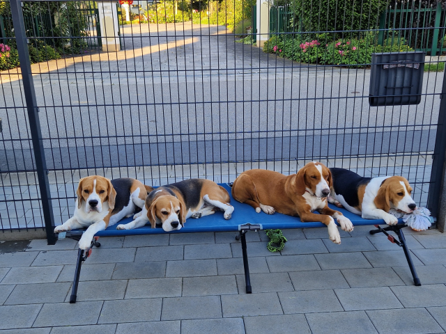 Maily und die Jungs Maily und die Jungs