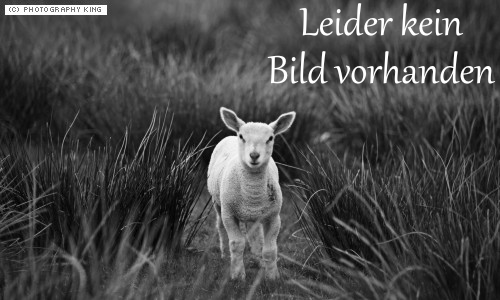 Leider kein Bild vorhanden Leider kein Bild vorhanden