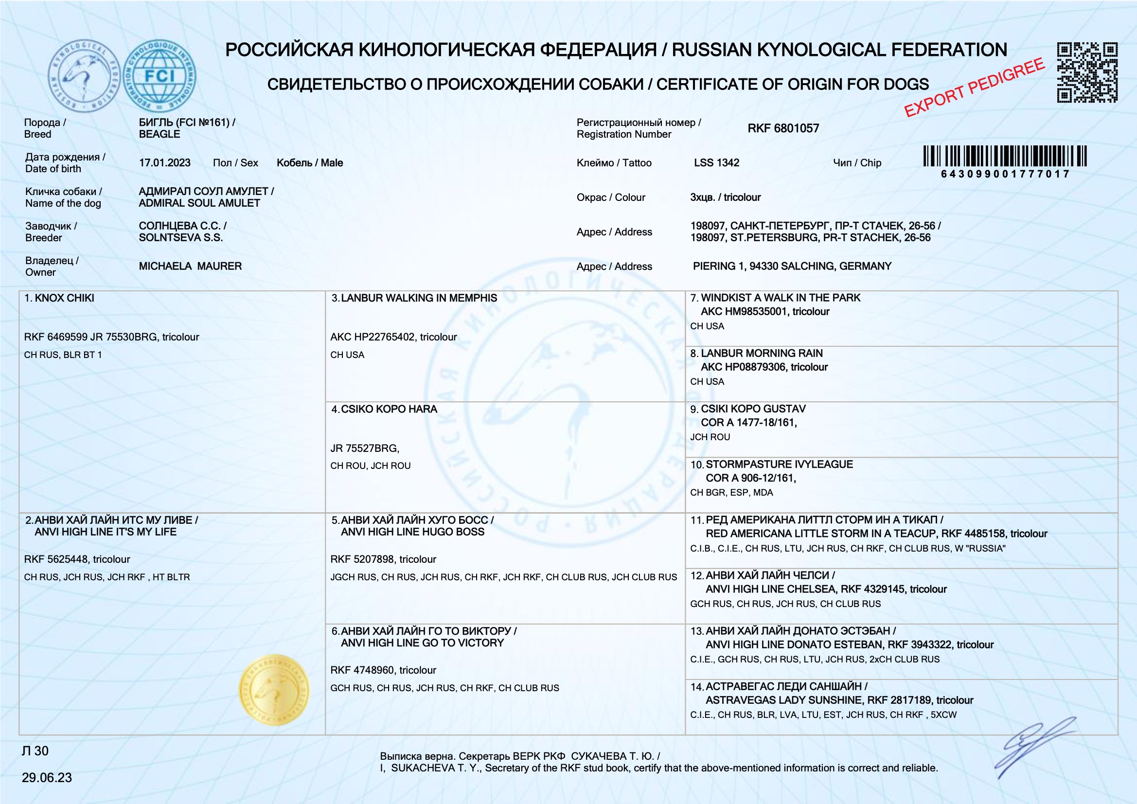 Grisu's Pedigree